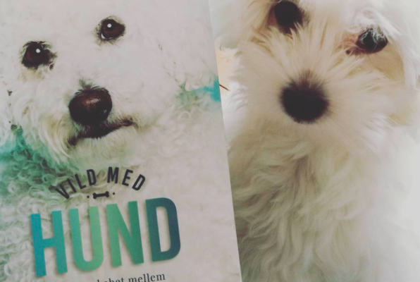 Anmeldelse af Vild med hund