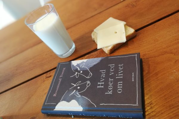 Hvad køer ved om livet