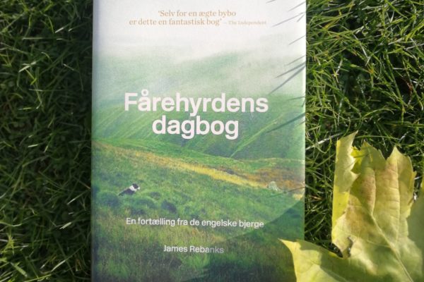 Fårehyrdens dagbog