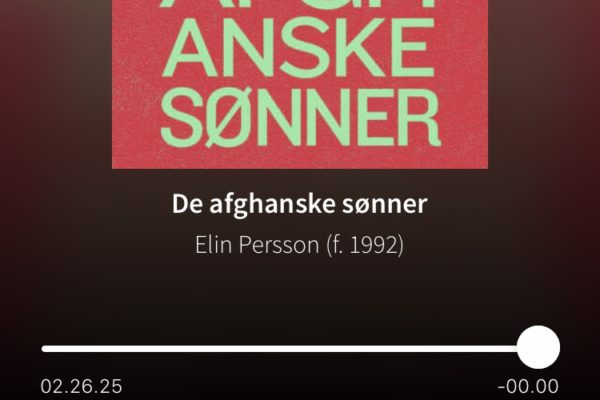 De afghanske sønner